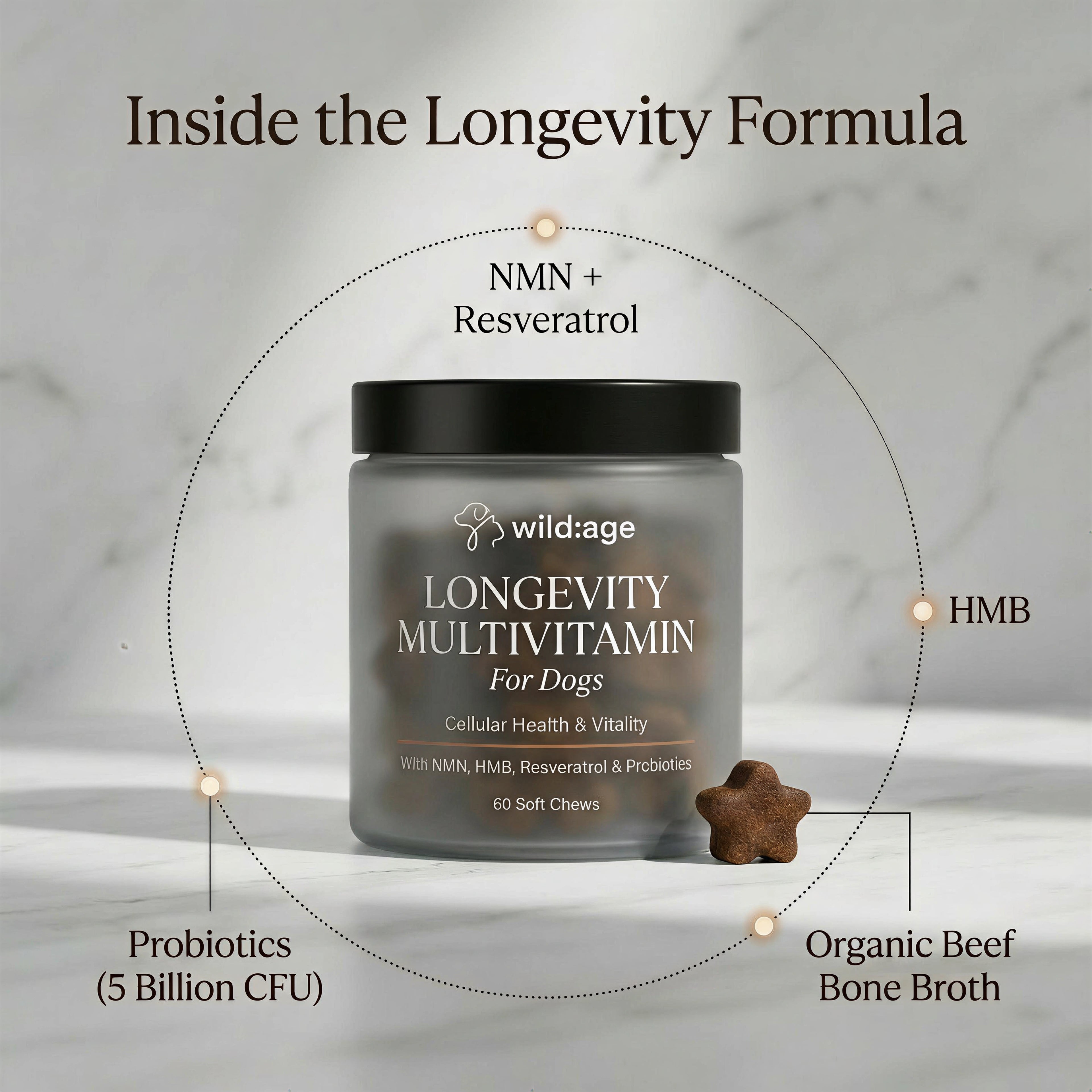wild:age™ Longevity Chews for Dogs — NAD+ Supplement with NMN, Probiotics, HMB, Resveratol for Healthy Aging, Energy & Joint Support