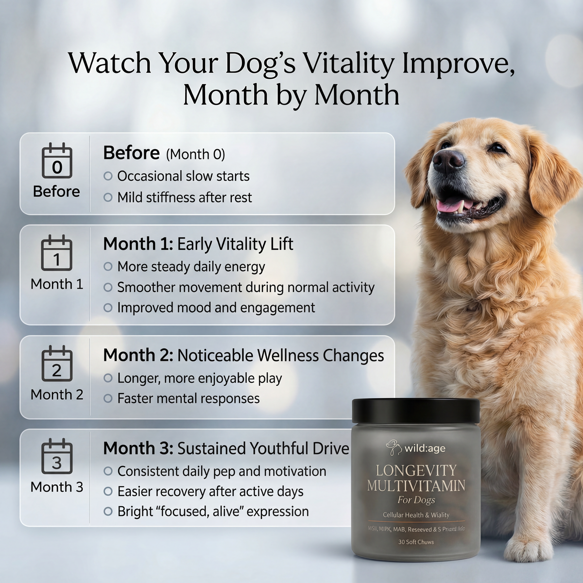 wild:age™ Longevity Chews for Dogs — NAD+ Supplement with NMN, Probiotics, HMB, Resveratol for Healthy Aging, Energy & Joint Support